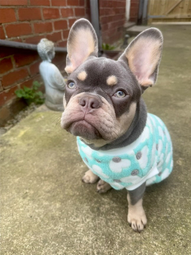 Green pattern jumper